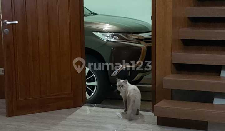 Disewakan Rmh Cantik di Cluster Catalina Disewakan Rmh Cantik di Cluster Catalina