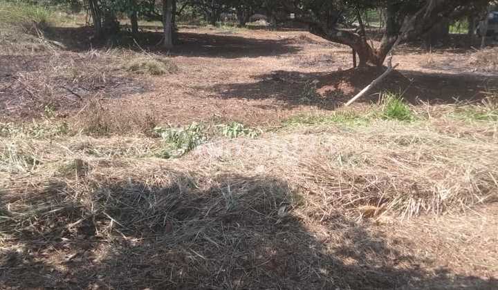 Land in Bekasi for Sale Negotiable Price SHM 3568 M2