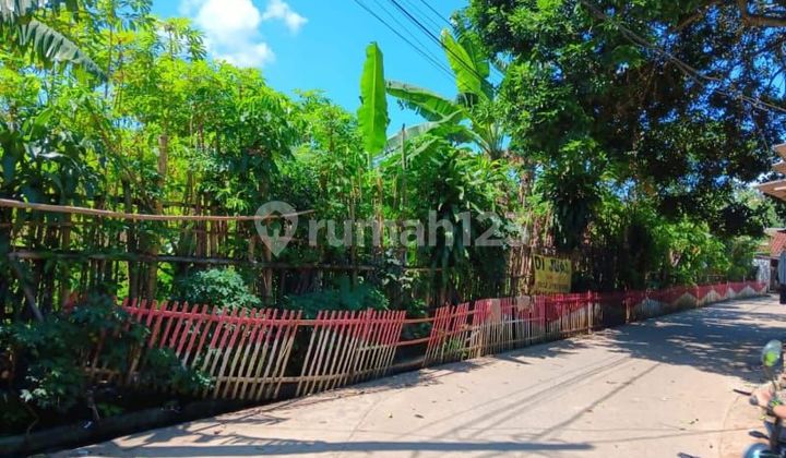 Tanah asli keras. Bukan urukkan. Kebon singkong Tanah asli keras. Bukan urukkan. Kebon singkong