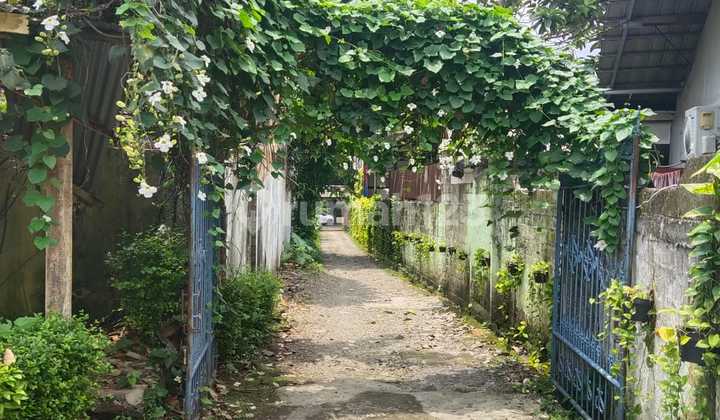 Pejaten Barat, Ngantong & Hitung Tanah Saja