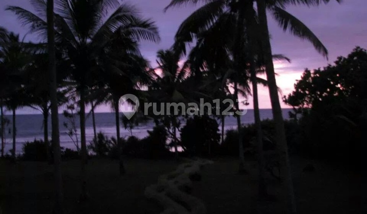 Jual Tanah DI Jembrana Bali Barat SHM 5600m2 (026) Jual Tanah DI Jembrana Bali Barat SHM 5600m2 (026)