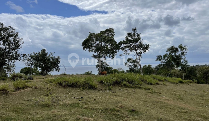 Tanah Dijual Di Bingin Pecatu, Lokasi Paling Terbaik  Pecatu 