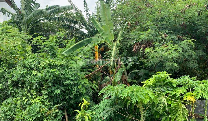 Dijual Tanah Di Batur Sari Dengan Lokasi Strategis Tanah