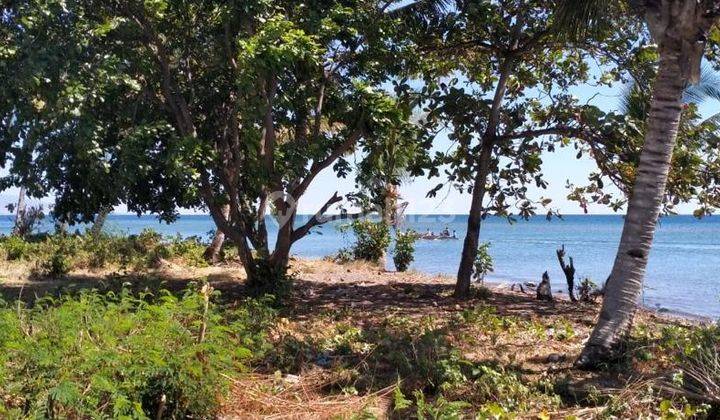 Di Jual Tanah Los Pantai Lokasi maumere, NTT Harga sangat Menarik 2