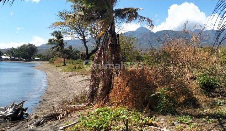 Di Jual Tanah Los Pantai Lokasi maumere, NTT Harga sangat Menarik 4
