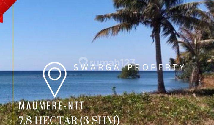 Di Jual Tanah Los Pantai Lokasi maumere, NTT Harga sangat Menarik 7