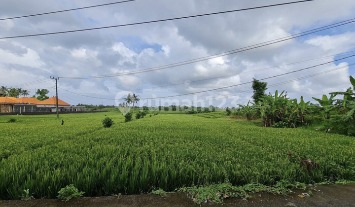 Dijual Lahan Cantik Di Nyanyi Harga Paling Murah Dari Pasaran Dijamin Cuan. 1