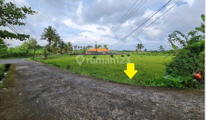 Dijual Lahan Cantik Di Nyanyi Harga Paling Murah Dari Pasaran Dijamin Cuan. 2