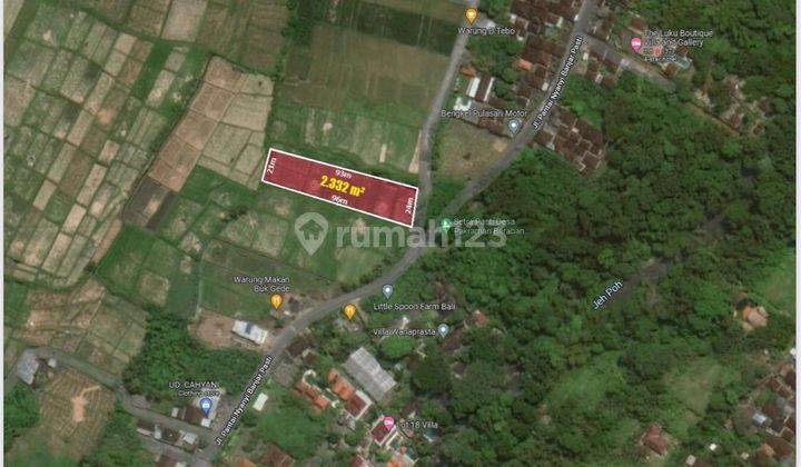 Dijual Lahan Cantik Di Nyanyi Harga Paling Murah Dari Pasaran Dijamin Cuan. 5