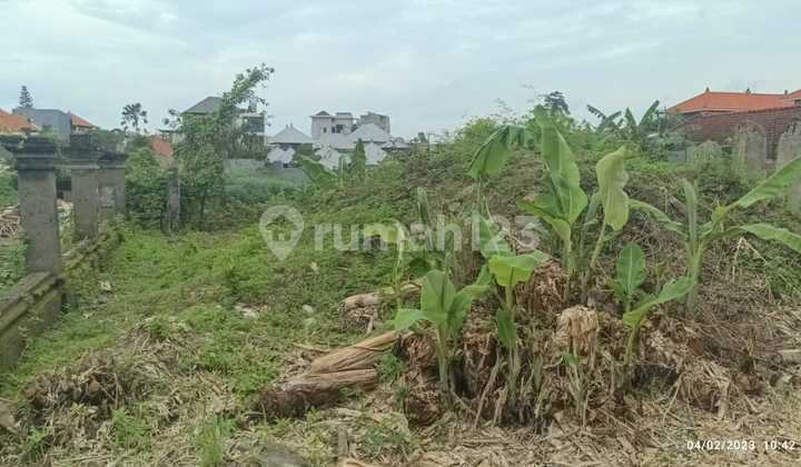 Di jual lahan cantik dan langka di canggu brawa Di jual lahan cantik dan langka di canggu brawa