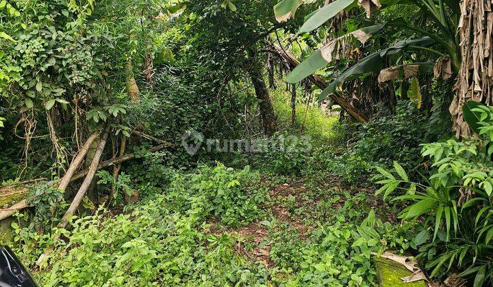 Dijual.tanah Cantik Kutuh Pandawa Smda 1