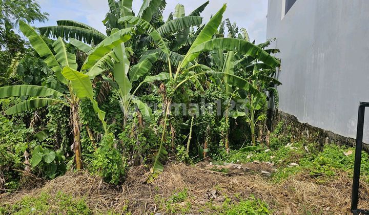 Di Jual Tanah Permium dan Laangka di Area Pantai Cemagi Di Jual Tanah Permium dan Laangka di Area Pantai Cemagi