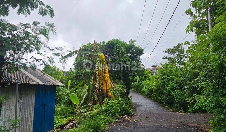 Di Jual Tanah Cabtik Jl Gunung Payung Kutuh Pandawa 2