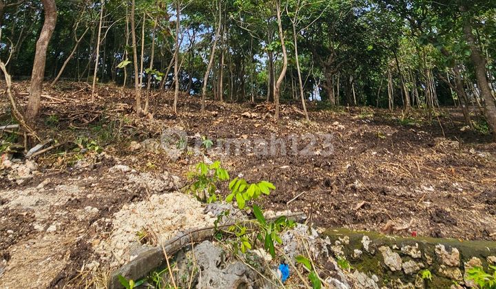 Di Jual Tanah Langka di Uluwatu