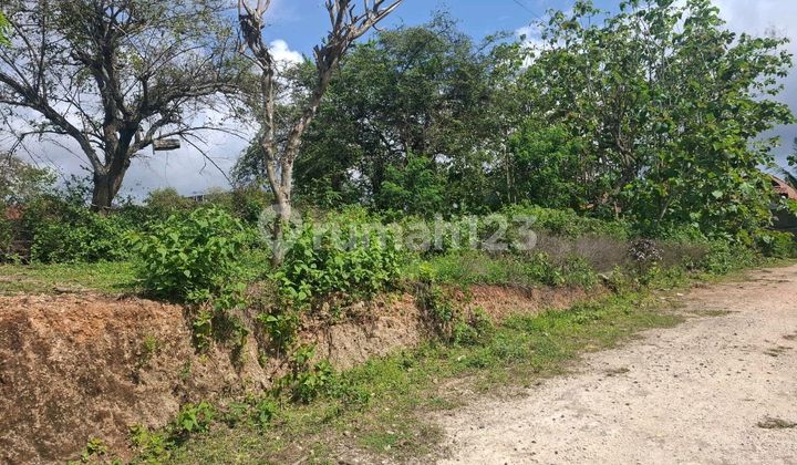Di Jual Tanah Jl Pantai Gunung Payung Kutuh