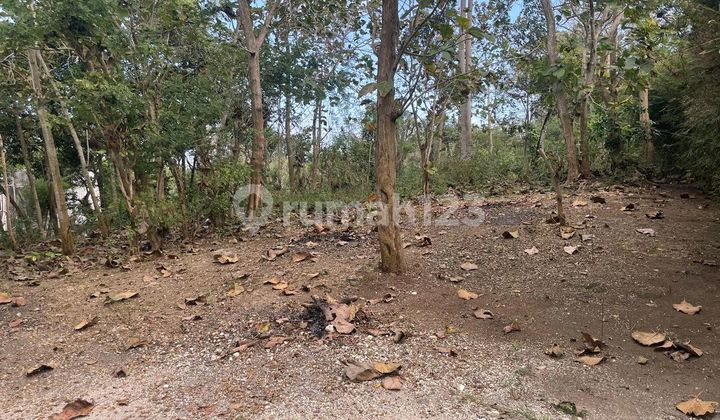 Land For Sale In Uluwatu Pecatu Bali Near Alila Uluwatu