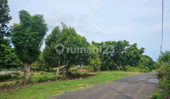 For Sale Premium Land in Jimbaran (H-01)