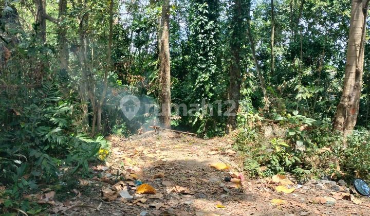 Land for Sale with Jungle and River View, Location Tumbak Bayuh Canggu