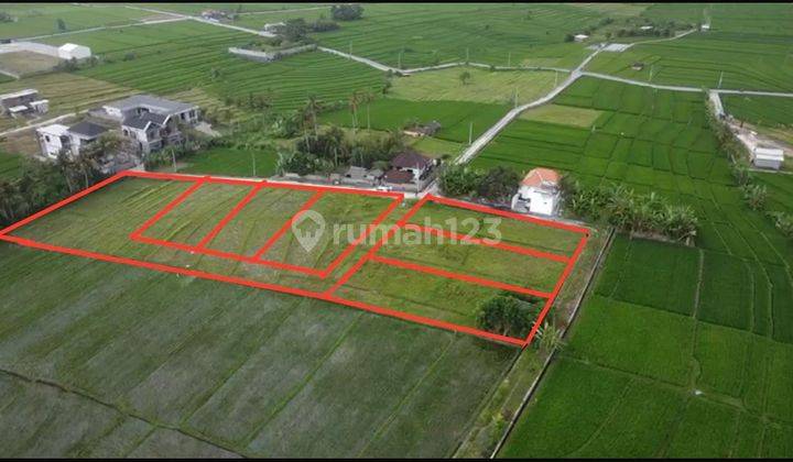 Di Jual Tanah Cantik Di Nyanyi (ed) 2