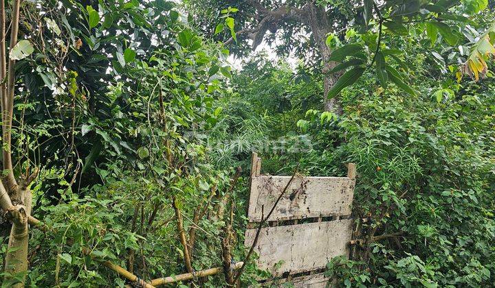 Dijual.tanah Cantik Kutuh Pandawa Smda 2
