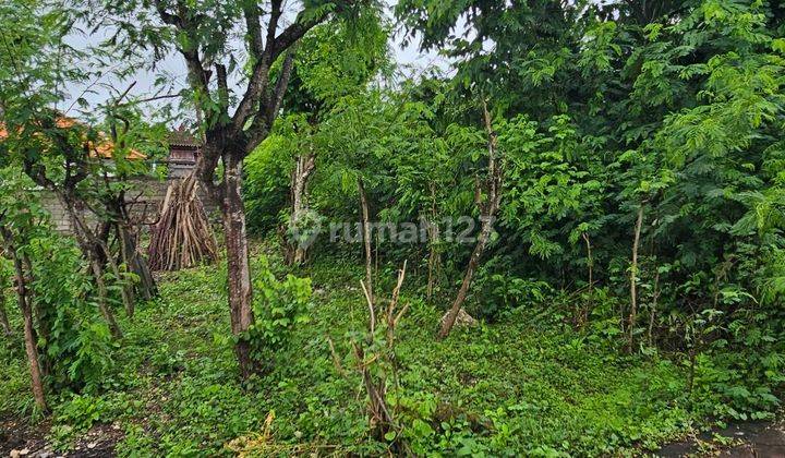 Di Jual Tanah Cantik Gunung Payung GG Bromo 2