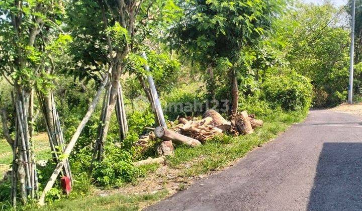 For Sale Beautiful Land In Gunung Payung Pandawa (Smida) 1