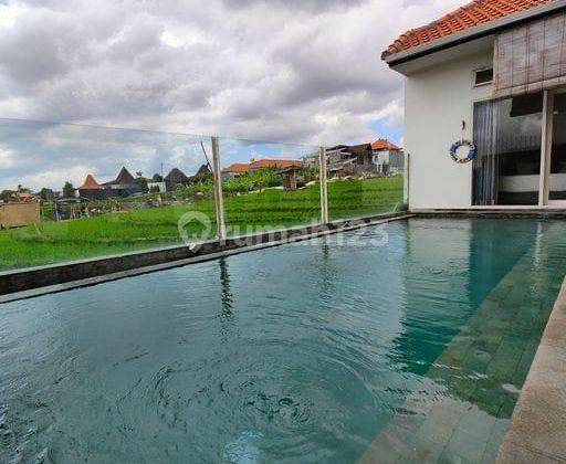 For Sale Beautiful Villa With Rice Field View In Brawa Canggu (at) 1