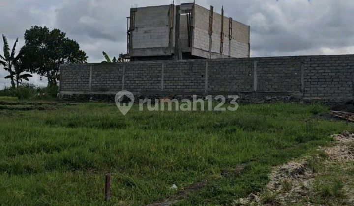 Prime and Rare Land in the Canggu Nengah Area Prime and Rare Land in the Canggu Nengah Area