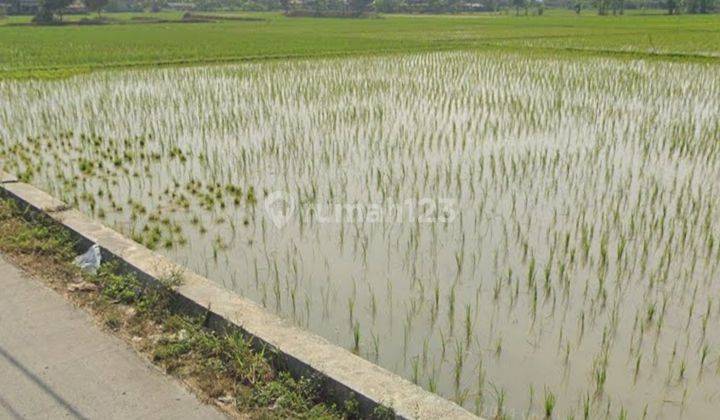Jual Tanah Kebun/sawah Tegalluar, Bandung. 1