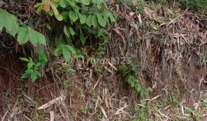 Kavling Rangkasbitung Lebak Banten 2