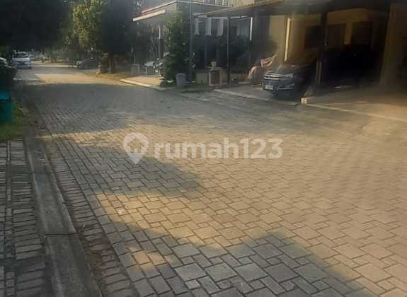 Albera Foresta BSD Plot Albera Foresta BSD Plot