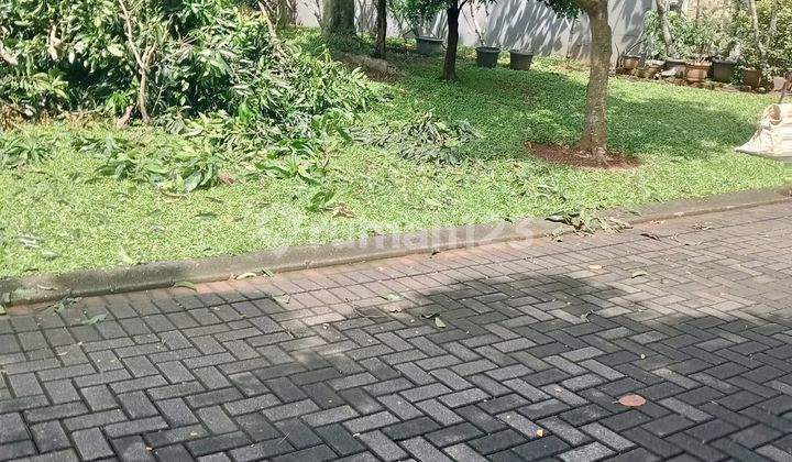 Tanah dijual di Cluster Alevare Foresta BSD Serpong Tangerang Tanah dijual di Cluster Alevare Foresta BSD Serpong Tangerang
