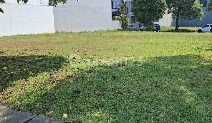 Kavling Hook Anggrek loka bsd