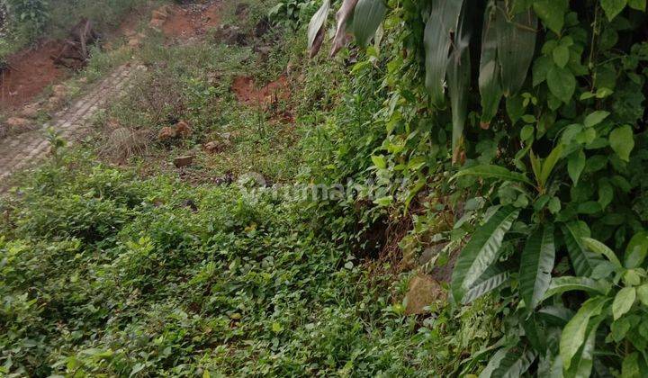 Kavling Rangkasbitung Lebak Banten 1