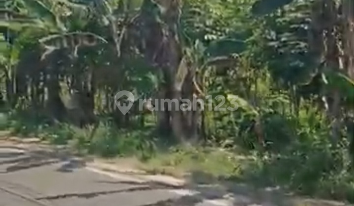 Tanah Cocok Untuk Perumahan Tangerang Tanah Cocok Untuk Perumahan Tangerang