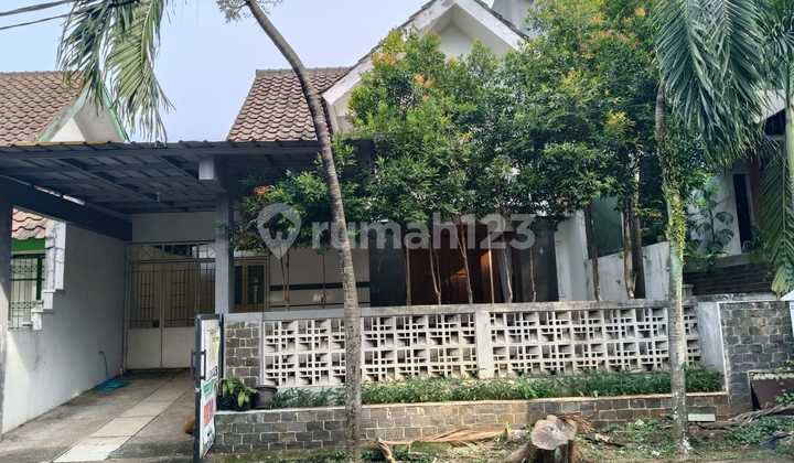 Single Story House Anggrek Loka Bsd Single Story House Anggrek Loka Bsd