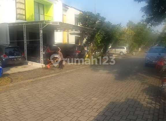 Albera Foresta BSD Plot Albera Foresta BSD Plot