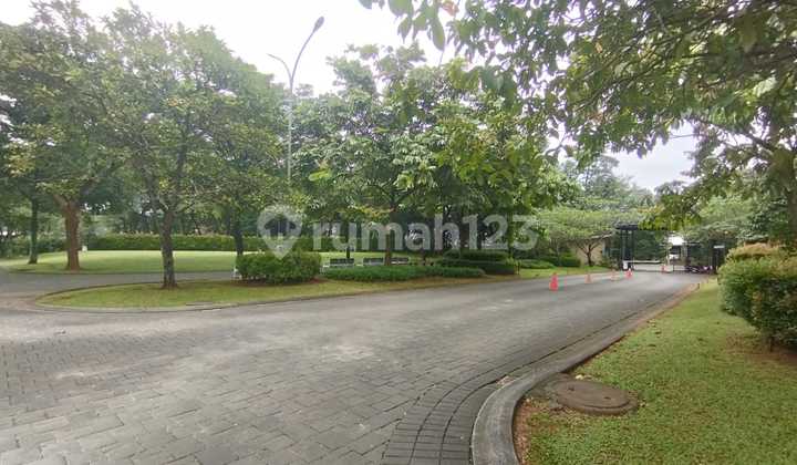 Fiore Foresta BSD Hook Plot Fiore Foresta BSD Hook Plot