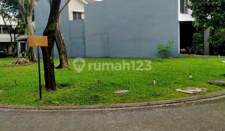 Plot Hook Naturale Foresta BSD Plot Hook Naturale Foresta BSD