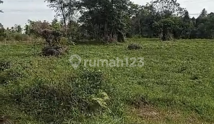 Tanah Lokasi Strategis Ciseeng Bogor Tanah Lokasi Strategis Ciseeng Bogor