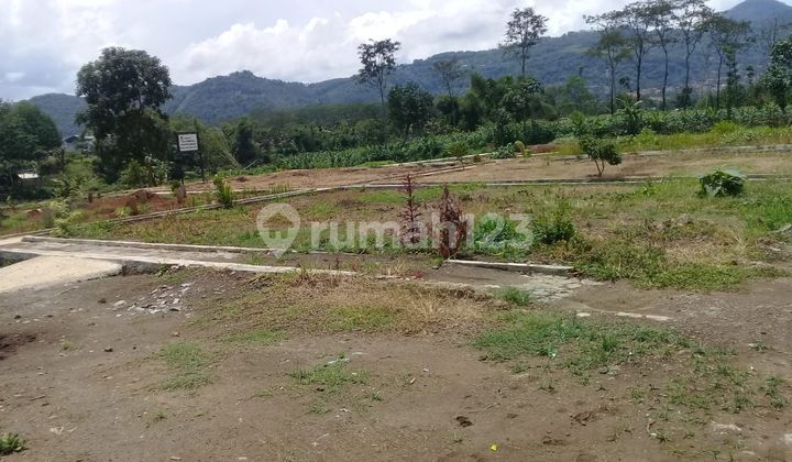 TNH KHUSUS PEMAKAMAN UMUM MASUK MOBIL DEKAT KE JLN TOL.BISA DISPLIT/DIECERKAN DAN SUDAH ADA IZINNYA.
MINIMAL BISA BELI :
300 SD 1000M2
LOKASI 6MENIT DARI TOL MARGA ASIH TKI5 KOPO-SOREANG.