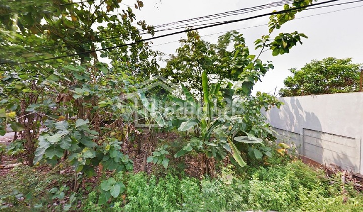 Tanah di Jangli Tembalang , Semarang Tt Yl 5455  2