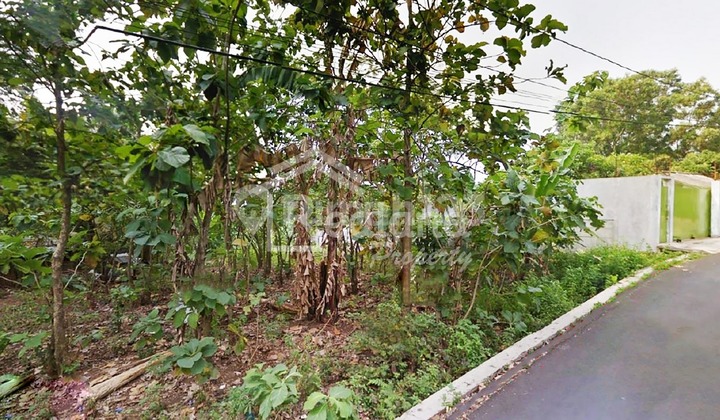 Tanah di Jangli Tembalang , Semarang Tt Yl 5455 Tanah di Jangli Tembalang , Semarang Tt Yl 5455