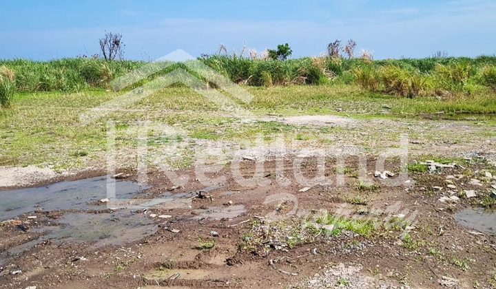 Tanah di Kawasan Cipta Guna , Semarang ( Tt 7867S ) 1
