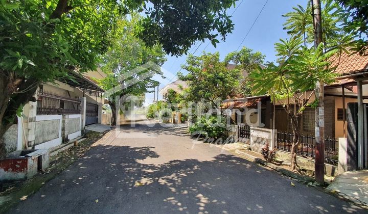 Land in Halmahera, Semarang (Deed 8207) 2