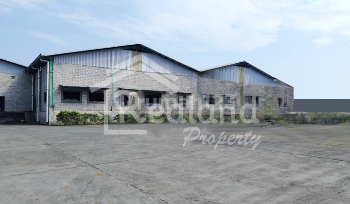 Warehouse in the Plelen area, Gringsing Batang (Plot 7891) Warehouse in the Plelen area, Gringsing Batang (Plot 7891)