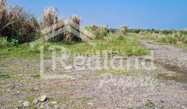 Tanah di Kawasan Cipta Guna , Semarang ( Tt 7867 ) 1