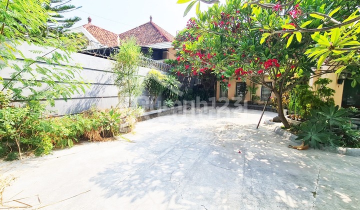 House on Ar. Hakim Street, Tegal, Plot Number 5659