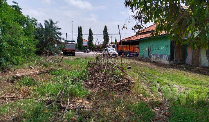 Kavling Tanah di Jl Indramayu Losarang Jawa Barat  1