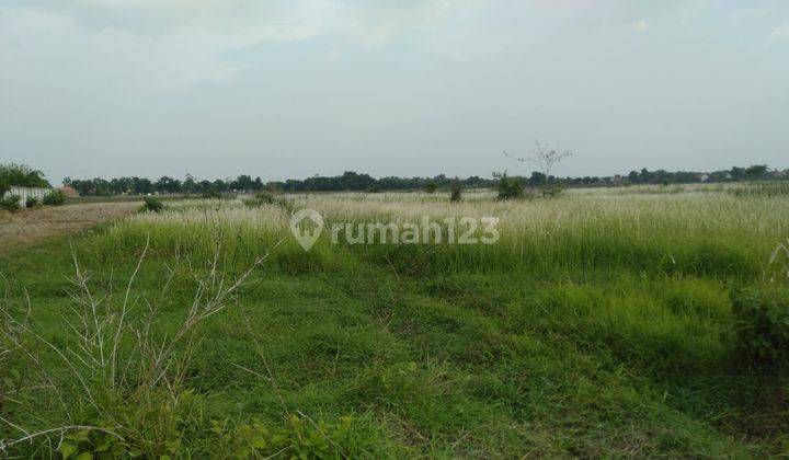 Tanah Kavling Lahan Berlokasi di Brebes Jawa Tengah 1